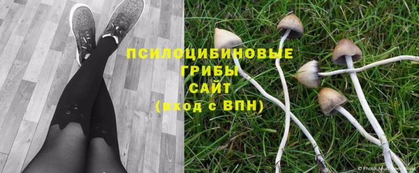 меф Заволжск